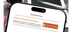 Careers in Cannabis educational opportunity sample on smart phone image