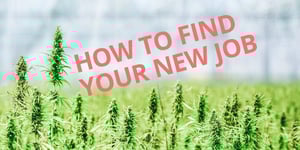 blog_posts_how_to_find