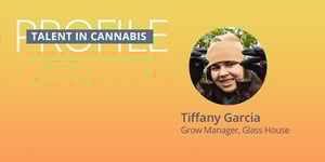blog_posts_tic_garcia
