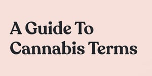 Apharoot's Guide to Cannabis Terms on Careers in Cannabis