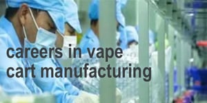 careers in a vape cart manufacturing – a guest post on Careers in Cannabis