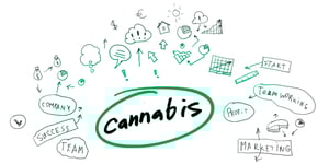Reasons to work in the cannabis industry from FlowerHire