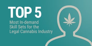 Top 5 most in-demand skill sets for the legal cannabis industry from FlowerHire
