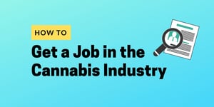 Graphic for 'How to Get a Job in the Cannabis Industry' by Cannabiz