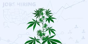 Cannabis is the best industry to work in – from FlowerHire