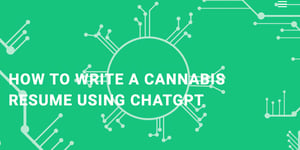 How to write a cannabis resume using ChatGPT by FlowerHire on Careers in Cannabis