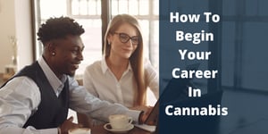 How to Begin Your Career In Cannabis by Indeed on Careers in Cannabis