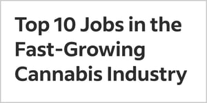 Top 10 Jobs in the Fast-Growing Cannabis Industry by Indeed on Careers in Cannabis 